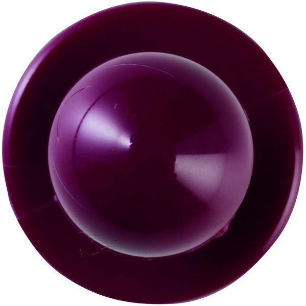 LEIBER-Jobwear, Kochjacken-Zubehr, Kugel-Knpfe, 5 Pack  12 St., Farbe bordeaux
