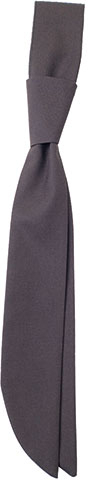 CG Workwear Short Tie Siena One Size Elefant