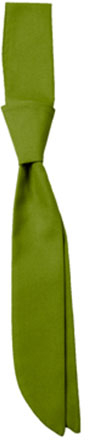 CG Workwear Short Tie Siena One Size Leaf